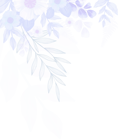 shape